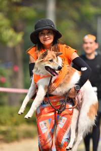 BIB: 
                            <button type="button" onclick="openModal(7581702)" class="btn btn-primary btn-sm float-right btn-popup" data-toggle="modal" data-target=".modal-high-quality">
                        <i class="fas fa-shopping-cart"></i> Add to Cart
                    </button>
                                            <button type="button" onclick="isThisMe(7581702, true)" class="btn btn-success btn-sm float-right btn-popup btn-isme hidden" data-toggle="tooltip" data-placement="bottom" title="นี่คือรูปของคุณใช่ไหม คลิกที่นี่เพื่อเอาเข้าอัลบั้ม">
                        <i class="fas fa-plus"></i> Add to album
                    </button>
                    <button type="button" onclick="isThisMe(7581702, false)" class="btn btn-warning btn-sm float-right btn-popup btn-isnotme hidden">
                        <i class="fas fa-ban"></i> Remove from album
                    </button>