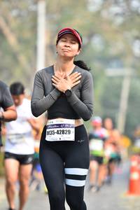 BIB: 421952, 42829
                            <button type="button" onclick="openModal(8127554)" class="btn btn-primary btn-sm float-right btn-popup" data-toggle="modal" data-target=".modal-high-quality">
                        <i class="fas fa-shopping-cart"></i> Add to Cart
                    </button>
                                            <button type="button" onclick="isThisMe(8127554, true)" class="btn btn-success btn-sm float-right btn-popup btn-isme hidden" data-toggle="tooltip" data-placement="bottom" title="นี่คือรูปของคุณใช่ไหม คลิกที่นี่เพื่อเอาเข้าอัลบั้ม">
                        <i class="fas fa-plus"></i> Add to album
                    </button>
                    <button type="button" onclick="isThisMe(8127554, false)" class="btn btn-warning btn-sm float-right btn-popup btn-isnotme hidden">
                        <i class="fas fa-ban"></i> Remove from album
                    </button>
