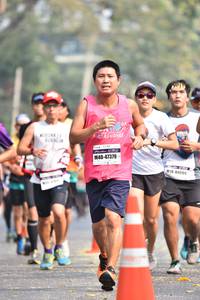 BIB: 47379, 84095
                            <button type="button" onclick="openModal(10093790)" class="btn btn-primary btn-sm float-right btn-popup" data-toggle="modal" data-target=".modal-high-quality">
                        <i class="fas fa-shopping-cart"></i> Add to Cart
                    </button>
                                            <button type="button" onclick="isThisMe(10093790, true)" class="btn btn-success btn-sm float-right btn-popup btn-isme hidden" data-toggle="tooltip" data-placement="bottom" title="นี่คือรูปของคุณใช่ไหม คลิกที่นี่เพื่อเอาเข้าอัลบั้ม">
                        <i class="fas fa-plus"></i> Add to album
                    </button>
                    <button type="button" onclick="isThisMe(10093790, false)" class="btn btn-warning btn-sm float-right btn-popup btn-isnotme hidden">
                        <i class="fas fa-ban"></i> Remove from album
                    </button>