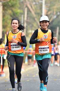 BIB: 45042, 45205
                            <button type="button" onclick="openModal(8066747)" class="btn btn-primary btn-sm float-right btn-popup" data-toggle="modal" data-target=".modal-high-quality">
                        <i class="fas fa-shopping-cart"></i> Add to Cart
                    </button>
                                            <button type="button" onclick="isThisMe(8066747, true)" class="btn btn-success btn-sm float-right btn-popup btn-isme hidden" data-toggle="tooltip" data-placement="bottom" title="นี่คือรูปของคุณใช่ไหม คลิกที่นี่เพื่อเอาเข้าอัลบั้ม">
                        <i class="fas fa-plus"></i> Add to album
                    </button>
                    <button type="button" onclick="isThisMe(8066747, false)" class="btn btn-warning btn-sm float-right btn-popup btn-isnotme hidden">
                        <i class="fas fa-ban"></i> Remove from album
                    </button>
