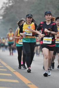 BIB: 11175, 162, 10802
                            <button type="button" onclick="openModal(7720726)" class="btn btn-primary btn-sm float-right btn-popup" data-toggle="modal" data-target=".modal-high-quality">
                        <i class="fas fa-shopping-cart"></i> Add to Cart
                    </button>
                                            <button type="button" onclick="isThisMe(7720726, true)" class="btn btn-success btn-sm float-right btn-popup btn-isme hidden" data-toggle="tooltip" data-placement="bottom" title="นี่คือรูปของคุณใช่ไหม คลิกที่นี่เพื่อเอาเข้าอัลบั้ม">
                        <i class="fas fa-plus"></i> Add to album
                    </button>
                    <button type="button" onclick="isThisMe(7720726, false)" class="btn btn-warning btn-sm float-right btn-popup btn-isnotme hidden">
                        <i class="fas fa-ban"></i> Remove from album
                    </button>