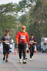 BIB: 4542628, 48318
                            <button type="button" onclick="openModal(9780046)" class="btn btn-primary btn-sm float-right btn-popup" data-toggle="modal" data-target=".modal-high-quality">
                        <i class="fas fa-shopping-cart"></i> Add to Cart
                    </button>
                                            <button type="button" onclick="isThisMe(9780046, true)" class="btn btn-success btn-sm float-right btn-popup btn-isme hidden" data-toggle="tooltip" data-placement="bottom" title="นี่คือรูปของคุณใช่ไหม คลิกที่นี่เพื่อเอาเข้าอัลบั้ม">
                        <i class="fas fa-plus"></i> Add to album
                    </button>
                    <button type="button" onclick="isThisMe(9780046, false)" class="btn btn-warning btn-sm float-right btn-popup btn-isnotme hidden">
                        <i class="fas fa-ban"></i> Remove from album
                    </button>