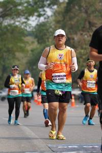 BIB: 43067
                            <button type="button" onclick="openModal(9786152)" class="btn btn-primary btn-sm float-right btn-popup" data-toggle="modal" data-target=".modal-high-quality">
                        <i class="fas fa-shopping-cart"></i> Add to Cart
                    </button>
                                            <button type="button" onclick="isThisMe(9786152, true)" class="btn btn-success btn-sm float-right btn-popup btn-isme hidden" data-toggle="tooltip" data-placement="bottom" title="นี่คือรูปของคุณใช่ไหม คลิกที่นี่เพื่อเอาเข้าอัลบั้ม">
                        <i class="fas fa-plus"></i> Add to album
                    </button>
                    <button type="button" onclick="isThisMe(9786152, false)" class="btn btn-warning btn-sm float-right btn-popup btn-isnotme hidden">
                        <i class="fas fa-ban"></i> Remove from album
                    </button>