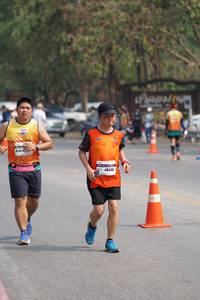 BIB: 472, 48540
                            <button type="button" onclick="openModal(9786577)" class="btn btn-primary btn-sm float-right btn-popup" data-toggle="modal" data-target=".modal-high-quality">
                        <i class="fas fa-shopping-cart"></i> Add to Cart
                    </button>
                                            <button type="button" onclick="isThisMe(9786577, true)" class="btn btn-success btn-sm float-right btn-popup btn-isme hidden" data-toggle="tooltip" data-placement="bottom" title="นี่คือรูปของคุณใช่ไหม คลิกที่นี่เพื่อเอาเข้าอัลบั้ม">
                        <i class="fas fa-plus"></i> Add to album
                    </button>
                    <button type="button" onclick="isThisMe(9786577, false)" class="btn btn-warning btn-sm float-right btn-popup btn-isnotme hidden">
                        <i class="fas fa-ban"></i> Remove from album
                    </button>