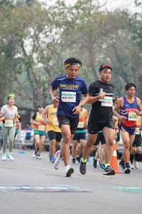 BIB: 26177, 255
                            <button type="button" onclick="openModal(8655122)" class="btn btn-primary btn-sm float-right btn-popup" data-toggle="modal" data-target=".modal-high-quality">
                        <i class="fas fa-shopping-cart"></i> Add to Cart
                    </button>
                                            <button type="button" onclick="isThisMe(8655122, true)" class="btn btn-success btn-sm float-right btn-popup btn-isme hidden" data-toggle="tooltip" data-placement="bottom" title="นี่คือรูปของคุณใช่ไหม คลิกที่นี่เพื่อเอาเข้าอัลบั้ม">
                        <i class="fas fa-plus"></i> Add to album
                    </button>
                    <button type="button" onclick="isThisMe(8655122, false)" class="btn btn-warning btn-sm float-right btn-popup btn-isnotme hidden">
                        <i class="fas fa-ban"></i> Remove from album
                    </button>
