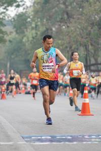 BIB: 48383
                            <button type="button" onclick="openModal(8669773)" class="btn btn-primary btn-sm float-right btn-popup" data-toggle="modal" data-target=".modal-high-quality">
                        <i class="fas fa-shopping-cart"></i> Add to Cart
                    </button>
                                            <button type="button" onclick="isThisMe(8669773, true)" class="btn btn-success btn-sm float-right btn-popup btn-isme hidden" data-toggle="tooltip" data-placement="bottom" title="นี่คือรูปของคุณใช่ไหม คลิกที่นี่เพื่อเอาเข้าอัลบั้ม">
                        <i class="fas fa-plus"></i> Add to album
                    </button>
                    <button type="button" onclick="isThisMe(8669773, false)" class="btn btn-warning btn-sm float-right btn-popup btn-isnotme hidden">
                        <i class="fas fa-ban"></i> Remove from album
                    </button>