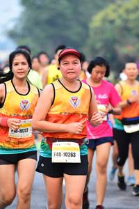 BIB: 10237, 10263
                            <button type="button" onclick="openModal(8253844)" class="btn btn-primary btn-sm float-right btn-popup" data-toggle="modal" data-target=".modal-high-quality">
                        <i class="fas fa-shopping-cart"></i> Add to Cart
                    </button>
                                            <button type="button" onclick="isThisMe(8253844, true)" class="btn btn-success btn-sm float-right btn-popup btn-isme hidden" data-toggle="tooltip" data-placement="bottom" title="นี่คือรูปของคุณใช่ไหม คลิกที่นี่เพื่อเอาเข้าอัลบั้ม">
                        <i class="fas fa-plus"></i> Add to album
                    </button>
                    <button type="button" onclick="isThisMe(8253844, false)" class="btn btn-warning btn-sm float-right btn-popup btn-isnotme hidden">
                        <i class="fas fa-ban"></i> Remove from album
                    </button>