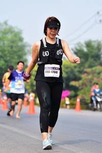 BIB: 47648
                            <button type="button" onclick="openModal(9432015)" class="btn btn-primary btn-sm float-right btn-popup" data-toggle="modal" data-target=".modal-high-quality">
                        <i class="fas fa-shopping-cart"></i> Add to Cart
                    </button>
                                            <button type="button" onclick="isThisMe(9432015, true)" class="btn btn-success btn-sm float-right btn-popup btn-isme hidden" data-toggle="tooltip" data-placement="bottom" title="นี่คือรูปของคุณใช่ไหม คลิกที่นี่เพื่อเอาเข้าอัลบั้ม">
                        <i class="fas fa-plus"></i> Add to album
                    </button>
                    <button type="button" onclick="isThisMe(9432015, false)" class="btn btn-warning btn-sm float-right btn-popup btn-isnotme hidden">
                        <i class="fas fa-ban"></i> Remove from album
                    </button>