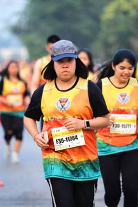 BIB: 15777, 11784
                            <button type="button" onclick="openModal(8510929)" class="btn btn-primary btn-sm float-right btn-popup" data-toggle="modal" data-target=".modal-high-quality">
                        <i class="fas fa-shopping-cart"></i> Add to Cart
                    </button>
                                            <button type="button" onclick="isThisMe(8510929, true)" class="btn btn-success btn-sm float-right btn-popup btn-isme hidden" data-toggle="tooltip" data-placement="bottom" title="นี่คือรูปของคุณใช่ไหม คลิกที่นี่เพื่อเอาเข้าอัลบั้ม">
                        <i class="fas fa-plus"></i> Add to album
                    </button>
                    <button type="button" onclick="isThisMe(8510929, false)" class="btn btn-warning btn-sm float-right btn-popup btn-isnotme hidden">
                        <i class="fas fa-ban"></i> Remove from album
                    </button>