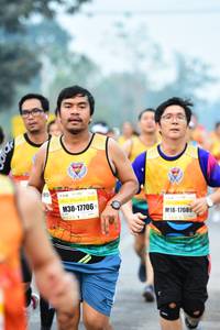 BIB: 17706, 1708
                            <button type="button" onclick="openModal(8122120)" class="btn btn-primary btn-sm float-right btn-popup" data-toggle="modal" data-target=".modal-high-quality">
                        <i class="fas fa-shopping-cart"></i> Add to Cart
                    </button>
                                            <button type="button" onclick="isThisMe(8122120, true)" class="btn btn-success btn-sm float-right btn-popup btn-isme hidden" data-toggle="tooltip" data-placement="bottom" title="นี่คือรูปของคุณใช่ไหม คลิกที่นี่เพื่อเอาเข้าอัลบั้ม">
                        <i class="fas fa-plus"></i> Add to album
                    </button>
                    <button type="button" onclick="isThisMe(8122120, false)" class="btn btn-warning btn-sm float-right btn-popup btn-isnotme hidden">
                        <i class="fas fa-ban"></i> Remove from album
                    </button>