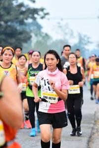 BIB: 10210
                            <button type="button" onclick="openModal(8136348)" class="btn btn-primary btn-sm float-right btn-popup" data-toggle="modal" data-target=".modal-high-quality">
                        <i class="fas fa-shopping-cart"></i> Add to Cart
                    </button>
                                            <button type="button" onclick="isThisMe(8136348, true)" class="btn btn-success btn-sm float-right btn-popup btn-isme hidden" data-toggle="tooltip" data-placement="bottom" title="นี่คือรูปของคุณใช่ไหม คลิกที่นี่เพื่อเอาเข้าอัลบั้ม">
                        <i class="fas fa-plus"></i> Add to album
                    </button>
                    <button type="button" onclick="isThisMe(8136348, false)" class="btn btn-warning btn-sm float-right btn-popup btn-isnotme hidden">
                        <i class="fas fa-ban"></i> Remove from album
                    </button>