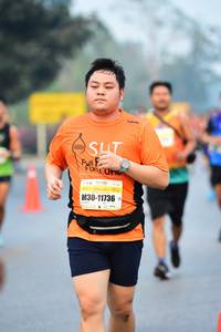 BIB: 104, 11736
                            <button type="button" onclick="openModal(8253630)" class="btn btn-primary btn-sm float-right btn-popup" data-toggle="modal" data-target=".modal-high-quality">
                        <i class="fas fa-shopping-cart"></i> Add to Cart
                    </button>
                                            <button type="button" onclick="isThisMe(8253630, true)" class="btn btn-success btn-sm float-right btn-popup btn-isme hidden" data-toggle="tooltip" data-placement="bottom" title="นี่คือรูปของคุณใช่ไหม คลิกที่นี่เพื่อเอาเข้าอัลบั้ม">
                        <i class="fas fa-plus"></i> Add to album
                    </button>
                    <button type="button" onclick="isThisMe(8253630, false)" class="btn btn-warning btn-sm float-right btn-popup btn-isnotme hidden">
                        <i class="fas fa-ban"></i> Remove from album
                    </button>