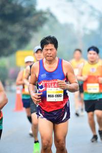 BIB: 1144, 17693
                            <button type="button" onclick="openModal(8213947)" class="btn btn-primary btn-sm float-right btn-popup" data-toggle="modal" data-target=".modal-high-quality">
                        <i class="fas fa-shopping-cart"></i> Add to Cart
                    </button>
                                            <button type="button" onclick="isThisMe(8213947, true)" class="btn btn-success btn-sm float-right btn-popup btn-isme hidden" data-toggle="tooltip" data-placement="bottom" title="นี่คือรูปของคุณใช่ไหม คลิกที่นี่เพื่อเอาเข้าอัลบั้ม">
                        <i class="fas fa-plus"></i> Add to album
                    </button>
                    <button type="button" onclick="isThisMe(8213947, false)" class="btn btn-warning btn-sm float-right btn-popup btn-isnotme hidden">
                        <i class="fas fa-ban"></i> Remove from album
                    </button>