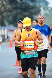 BIB: 11287, 15895
                            <button type="button" onclick="openModal(8145005)" class="btn btn-primary btn-sm float-right btn-popup" data-toggle="modal" data-target=".modal-high-quality">
                        <i class="fas fa-shopping-cart"></i> Add to Cart
                    </button>
                                            <button type="button" onclick="isThisMe(8145005, true)" class="btn btn-success btn-sm float-right btn-popup btn-isme hidden" data-toggle="tooltip" data-placement="bottom" title="นี่คือรูปของคุณใช่ไหม คลิกที่นี่เพื่อเอาเข้าอัลบั้ม">
                        <i class="fas fa-plus"></i> Add to album
                    </button>
                    <button type="button" onclick="isThisMe(8145005, false)" class="btn btn-warning btn-sm float-right btn-popup btn-isnotme hidden">
                        <i class="fas fa-ban"></i> Remove from album
                    </button>