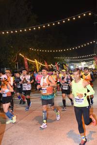 BIB: 
                            <button type="button" onclick="openModal(7280531)" class="btn btn-primary btn-sm float-right btn-popup" data-toggle="modal" data-target=".modal-high-quality">
                        <i class="fas fa-shopping-cart"></i> Add to Cart
                    </button>
                                            <button type="button" onclick="isThisMe(7280531, true)" class="btn btn-success btn-sm float-right btn-popup btn-isme hidden" data-toggle="tooltip" data-placement="bottom" title="นี่คือรูปของคุณใช่ไหม คลิกที่นี่เพื่อเอาเข้าอัลบั้ม">
                        <i class="fas fa-plus"></i> Add to album
                    </button>
                    <button type="button" onclick="isThisMe(7280531, false)" class="btn btn-warning btn-sm float-right btn-popup btn-isnotme hidden">
                        <i class="fas fa-ban"></i> Remove from album
                    </button>