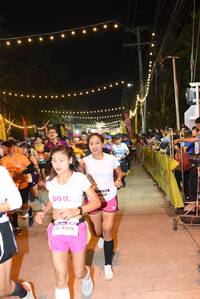 BIB: 
                            <button type="button" onclick="openModal(7280528)" class="btn btn-primary btn-sm float-right btn-popup" data-toggle="modal" data-target=".modal-high-quality">
                        <i class="fas fa-shopping-cart"></i> Add to Cart
                    </button>
                                            <button type="button" onclick="isThisMe(7280528, true)" class="btn btn-success btn-sm float-right btn-popup btn-isme hidden" data-toggle="tooltip" data-placement="bottom" title="นี่คือรูปของคุณใช่ไหม คลิกที่นี่เพื่อเอาเข้าอัลบั้ม">
                        <i class="fas fa-plus"></i> Add to album
                    </button>
                    <button type="button" onclick="isThisMe(7280528, false)" class="btn btn-warning btn-sm float-right btn-popup btn-isnotme hidden">
                        <i class="fas fa-ban"></i> Remove from album
                    </button>