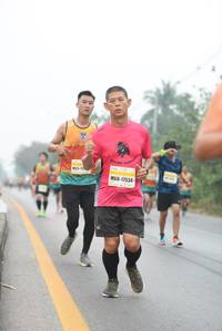 BIB: 17534
                            <button type="button" onclick="openModal(10239565)" class="btn btn-primary btn-sm float-right btn-popup" data-toggle="modal" data-target=".modal-high-quality">
                        <i class="fas fa-shopping-cart"></i> Add to Cart
                    </button>
                                            <button type="button" onclick="isThisMe(10239565, true)" class="btn btn-success btn-sm float-right btn-popup btn-isme hidden" data-toggle="tooltip" data-placement="bottom" title="นี่คือรูปของคุณใช่ไหม คลิกที่นี่เพื่อเอาเข้าอัลบั้ม">
                        <i class="fas fa-plus"></i> Add to album
                    </button>
                    <button type="button" onclick="isThisMe(10239565, false)" class="btn btn-warning btn-sm float-right btn-popup btn-isnotme hidden">
                        <i class="fas fa-ban"></i> Remove from album
                    </button>