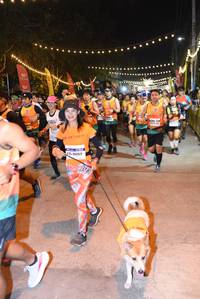 BIB: 40069
                            <button type="button" onclick="openModal(7280455)" class="btn btn-primary btn-sm float-right btn-popup" data-toggle="modal" data-target=".modal-high-quality">
                        <i class="fas fa-shopping-cart"></i> Add to Cart
                    </button>
                                            <button type="button" onclick="isThisMe(7280455, true)" class="btn btn-success btn-sm float-right btn-popup btn-isme hidden" data-toggle="tooltip" data-placement="bottom" title="นี่คือรูปของคุณใช่ไหม คลิกที่นี่เพื่อเอาเข้าอัลบั้ม">
                        <i class="fas fa-plus"></i> Add to album
                    </button>
                    <button type="button" onclick="isThisMe(7280455, false)" class="btn btn-warning btn-sm float-right btn-popup btn-isnotme hidden">
                        <i class="fas fa-ban"></i> Remove from album
                    </button>