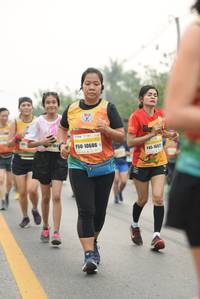 BIB: 10686, 165
                            <button type="button" onclick="openModal(10237118)" class="btn btn-primary btn-sm float-right btn-popup" data-toggle="modal" data-target=".modal-high-quality">
                        <i class="fas fa-shopping-cart"></i> Add to Cart
                    </button>
                                            <button type="button" onclick="isThisMe(10237118, true)" class="btn btn-success btn-sm float-right btn-popup btn-isme hidden" data-toggle="tooltip" data-placement="bottom" title="นี่คือรูปของคุณใช่ไหม คลิกที่นี่เพื่อเอาเข้าอัลบั้ม">
                        <i class="fas fa-plus"></i> Add to album
                    </button>
                    <button type="button" onclick="isThisMe(10237118, false)" class="btn btn-warning btn-sm float-right btn-popup btn-isnotme hidden">
                        <i class="fas fa-ban"></i> Remove from album
                    </button>