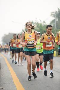 BIB: 10218, 0512
                            <button type="button" onclick="openModal(10237196)" class="btn btn-primary btn-sm float-right btn-popup" data-toggle="modal" data-target=".modal-high-quality">
                        <i class="fas fa-shopping-cart"></i> Add to Cart
                    </button>
                                            <button type="button" onclick="isThisMe(10237196, true)" class="btn btn-success btn-sm float-right btn-popup btn-isme hidden" data-toggle="tooltip" data-placement="bottom" title="นี่คือรูปของคุณใช่ไหม คลิกที่นี่เพื่อเอาเข้าอัลบั้ม">
                        <i class="fas fa-plus"></i> Add to album
                    </button>
                    <button type="button" onclick="isThisMe(10237196, false)" class="btn btn-warning btn-sm float-right btn-popup btn-isnotme hidden">
                        <i class="fas fa-ban"></i> Remove from album
                    </button>