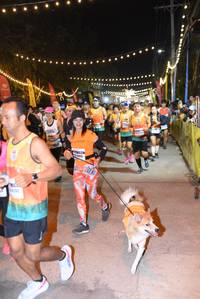 BIB: 
                            <button type="button" onclick="openModal(7280292)" class="btn btn-primary btn-sm float-right btn-popup" data-toggle="modal" data-target=".modal-high-quality">
                        <i class="fas fa-shopping-cart"></i> Add to Cart
                    </button>
                                            <button type="button" onclick="isThisMe(7280292, true)" class="btn btn-success btn-sm float-right btn-popup btn-isme hidden" data-toggle="tooltip" data-placement="bottom" title="นี่คือรูปของคุณใช่ไหม คลิกที่นี่เพื่อเอาเข้าอัลบั้ม">
                        <i class="fas fa-plus"></i> Add to album
                    </button>
                    <button type="button" onclick="isThisMe(7280292, false)" class="btn btn-warning btn-sm float-right btn-popup btn-isnotme hidden">
                        <i class="fas fa-ban"></i> Remove from album
                    </button>