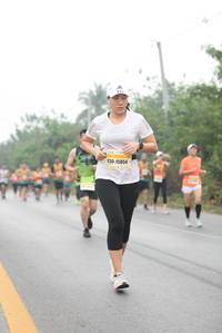 BIB: 15854
                            <button type="button" onclick="openModal(10236771)" class="btn btn-primary btn-sm float-right btn-popup" data-toggle="modal" data-target=".modal-high-quality">
                        <i class="fas fa-shopping-cart"></i> Add to Cart
                    </button>
                                            <button type="button" onclick="isThisMe(10236771, true)" class="btn btn-success btn-sm float-right btn-popup btn-isme hidden" data-toggle="tooltip" data-placement="bottom" title="นี่คือรูปของคุณใช่ไหม คลิกที่นี่เพื่อเอาเข้าอัลบั้ม">
                        <i class="fas fa-plus"></i> Add to album
                    </button>
                    <button type="button" onclick="isThisMe(10236771, false)" class="btn btn-warning btn-sm float-right btn-popup btn-isnotme hidden">
                        <i class="fas fa-ban"></i> Remove from album
                    </button>