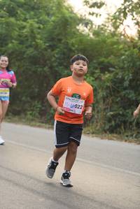BIB: 022
                            <button type="button" onclick="openModal(9076097)" class="btn btn-primary btn-sm float-right btn-popup" data-toggle="modal" data-target=".modal-high-quality">
                        <i class="fas fa-shopping-cart"></i> Add to Cart
                    </button>
                                            <button type="button" onclick="isThisMe(9076097, true)" class="btn btn-success btn-sm float-right btn-popup btn-isme hidden" data-toggle="tooltip" data-placement="bottom" title="นี่คือรูปของคุณใช่ไหม คลิกที่นี่เพื่อเอาเข้าอัลบั้ม">
                        <i class="fas fa-plus"></i> Add to album
                    </button>
                    <button type="button" onclick="isThisMe(9076097, false)" class="btn btn-warning btn-sm float-right btn-popup btn-isnotme hidden">
                        <i class="fas fa-ban"></i> Remove from album
                    </button>