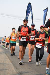 BIB: 
                            <button type="button" onclick="openModal(8806313)" class="btn btn-primary btn-sm float-right btn-popup" data-toggle="modal" data-target=".modal-high-quality">
                        <i class="fas fa-shopping-cart"></i> Add to Cart
                    </button>
                                            <button type="button" onclick="isThisMe(8806313, true)" class="btn btn-success btn-sm float-right btn-popup btn-isme hidden" data-toggle="tooltip" data-placement="bottom" title="นี่คือรูปของคุณใช่ไหม คลิกที่นี่เพื่อเอาเข้าอัลบั้ม">
                        <i class="fas fa-plus"></i> Add to album
                    </button>
                    <button type="button" onclick="isThisMe(8806313, false)" class="btn btn-warning btn-sm float-right btn-popup btn-isnotme hidden">
                        <i class="fas fa-ban"></i> Remove from album
                    </button>