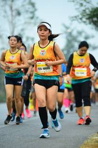 BIB: 10095
                            <button type="button" onclick="openModal(7291895)" class="btn btn-primary btn-sm float-right btn-popup" data-toggle="modal" data-target=".modal-high-quality">
                        <i class="fas fa-shopping-cart"></i> Add to Cart
                    </button>
                                            <button type="button" onclick="isThisMe(7291895, true)" class="btn btn-success btn-sm float-right btn-popup btn-isme hidden" data-toggle="tooltip" data-placement="bottom" title="นี่คือรูปของคุณใช่ไหม คลิกที่นี่เพื่อเอาเข้าอัลบั้ม">
                        <i class="fas fa-plus"></i> Add to album
                    </button>
                    <button type="button" onclick="isThisMe(7291895, false)" class="btn btn-warning btn-sm float-right btn-popup btn-isnotme hidden">
                        <i class="fas fa-ban"></i> Remove from album
                    </button>