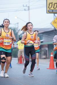 BIB: 48097
                            <button type="button" onclick="openModal(8005395)" class="btn btn-primary btn-sm float-right btn-popup" data-toggle="modal" data-target=".modal-high-quality">
                        <i class="fas fa-shopping-cart"></i> Add to Cart
                    </button>
                                            <button type="button" onclick="isThisMe(8005395, true)" class="btn btn-success btn-sm float-right btn-popup btn-isme hidden" data-toggle="tooltip" data-placement="bottom" title="นี่คือรูปของคุณใช่ไหม คลิกที่นี่เพื่อเอาเข้าอัลบั้ม">
                        <i class="fas fa-plus"></i> Add to album
                    </button>
                    <button type="button" onclick="isThisMe(8005395, false)" class="btn btn-warning btn-sm float-right btn-popup btn-isnotme hidden">
                        <i class="fas fa-ban"></i> Remove from album
                    </button>