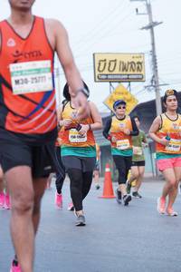 BIB: 
                            <button type="button" onclick="openModal(7854377)" class="btn btn-primary btn-sm float-right btn-popup" data-toggle="modal" data-target=".modal-high-quality">
                        <i class="fas fa-shopping-cart"></i> Add to Cart
                    </button>
                                            <button type="button" onclick="isThisMe(7854377, true)" class="btn btn-success btn-sm float-right btn-popup btn-isme hidden" data-toggle="tooltip" data-placement="bottom" title="นี่คือรูปของคุณใช่ไหม คลิกที่นี่เพื่อเอาเข้าอัลบั้ม">
                        <i class="fas fa-plus"></i> Add to album
                    </button>
                    <button type="button" onclick="isThisMe(7854377, false)" class="btn btn-warning btn-sm float-right btn-popup btn-isnotme hidden">
                        <i class="fas fa-ban"></i> Remove from album
                    </button>