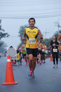 BIB: 41031
                            <button type="button" onclick="openModal(8019682)" class="btn btn-primary btn-sm float-right btn-popup" data-toggle="modal" data-target=".modal-high-quality">
                        <i class="fas fa-shopping-cart"></i> Add to Cart
                    </button>
                                            <button type="button" onclick="isThisMe(8019682, true)" class="btn btn-success btn-sm float-right btn-popup btn-isme hidden" data-toggle="tooltip" data-placement="bottom" title="นี่คือรูปของคุณใช่ไหม คลิกที่นี่เพื่อเอาเข้าอัลบั้ม">
                        <i class="fas fa-plus"></i> Add to album
                    </button>
                    <button type="button" onclick="isThisMe(8019682, false)" class="btn btn-warning btn-sm float-right btn-popup btn-isnotme hidden">
                        <i class="fas fa-ban"></i> Remove from album
                    </button>