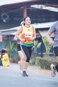 BIB: 1219, 40197
                            <button type="button" onclick="openModal(8041661)" class="btn btn-primary btn-sm float-right btn-popup" data-toggle="modal" data-target=".modal-high-quality">
                        <i class="fas fa-shopping-cart"></i> Add to Cart
                    </button>
                                            <button type="button" onclick="isThisMe(8041661, true)" class="btn btn-success btn-sm float-right btn-popup btn-isme hidden" data-toggle="tooltip" data-placement="bottom" title="นี่คือรูปของคุณใช่ไหม คลิกที่นี่เพื่อเอาเข้าอัลบั้ม">
                        <i class="fas fa-plus"></i> Add to album
                    </button>
                    <button type="button" onclick="isThisMe(8041661, false)" class="btn btn-warning btn-sm float-right btn-popup btn-isnotme hidden">
                        <i class="fas fa-ban"></i> Remove from album
                    </button>