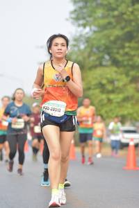 BIB: 
                            <button type="button" onclick="openModal(10361630)" class="btn btn-primary btn-sm float-right btn-popup" data-toggle="modal" data-target=".modal-high-quality">
                        <i class="fas fa-shopping-cart"></i> Add to Cart
                    </button>
                                            <button type="button" onclick="isThisMe(10361630, true)" class="btn btn-success btn-sm float-right btn-popup btn-isme hidden" data-toggle="tooltip" data-placement="bottom" title="นี่คือรูปของคุณใช่ไหม คลิกที่นี่เพื่อเอาเข้าอัลบั้ม">
                        <i class="fas fa-plus"></i> Add to album
                    </button>
                    <button type="button" onclick="isThisMe(10361630, false)" class="btn btn-warning btn-sm float-right btn-popup btn-isnotme hidden">
                        <i class="fas fa-ban"></i> Remove from album
                    </button>