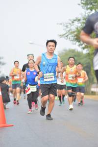 BIB: 41022
                            <button type="button" onclick="openModal(10361503)" class="btn btn-primary btn-sm float-right btn-popup" data-toggle="modal" data-target=".modal-high-quality">
                        <i class="fas fa-shopping-cart"></i> Add to Cart
                    </button>
                                            <button type="button" onclick="isThisMe(10361503, true)" class="btn btn-success btn-sm float-right btn-popup btn-isme hidden" data-toggle="tooltip" data-placement="bottom" title="นี่คือรูปของคุณใช่ไหม คลิกที่นี่เพื่อเอาเข้าอัลบั้ม">
                        <i class="fas fa-plus"></i> Add to album
                    </button>
                    <button type="button" onclick="isThisMe(10361503, false)" class="btn btn-warning btn-sm float-right btn-popup btn-isnotme hidden">
                        <i class="fas fa-ban"></i> Remove from album
                    </button>