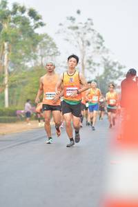 BIB: 47833, 472
                            <button type="button" onclick="openModal(10361713)" class="btn btn-primary btn-sm float-right btn-popup" data-toggle="modal" data-target=".modal-high-quality">
                        <i class="fas fa-shopping-cart"></i> Add to Cart
                    </button>
                                            <button type="button" onclick="isThisMe(10361713, true)" class="btn btn-success btn-sm float-right btn-popup btn-isme hidden" data-toggle="tooltip" data-placement="bottom" title="นี่คือรูปของคุณใช่ไหม คลิกที่นี่เพื่อเอาเข้าอัลบั้ม">
                        <i class="fas fa-plus"></i> Add to album
                    </button>
                    <button type="button" onclick="isThisMe(10361713, false)" class="btn btn-warning btn-sm float-right btn-popup btn-isnotme hidden">
                        <i class="fas fa-ban"></i> Remove from album
                    </button>