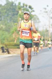 BIB: 45888
                            <button type="button" onclick="openModal(8224974)" class="btn btn-primary btn-sm float-right btn-popup" data-toggle="modal" data-target=".modal-high-quality">
                        <i class="fas fa-shopping-cart"></i> Add to Cart
                    </button>
                                            <button type="button" onclick="isThisMe(8224974, true)" class="btn btn-success btn-sm float-right btn-popup btn-isme hidden" data-toggle="tooltip" data-placement="bottom" title="นี่คือรูปของคุณใช่ไหม คลิกที่นี่เพื่อเอาเข้าอัลบั้ม">
                        <i class="fas fa-plus"></i> Add to album
                    </button>
                    <button type="button" onclick="isThisMe(8224974, false)" class="btn btn-warning btn-sm float-right btn-popup btn-isnotme hidden">
                        <i class="fas fa-ban"></i> Remove from album
                    </button>