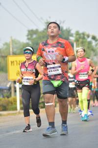 BIB: 47416
                            <button type="button" onclick="openModal(8199053)" class="btn btn-primary btn-sm float-right btn-popup" data-toggle="modal" data-target=".modal-high-quality">
                        <i class="fas fa-shopping-cart"></i> Add to Cart
                    </button>
                                            <button type="button" onclick="isThisMe(8199053, true)" class="btn btn-success btn-sm float-right btn-popup btn-isme hidden" data-toggle="tooltip" data-placement="bottom" title="นี่คือรูปของคุณใช่ไหม คลิกที่นี่เพื่อเอาเข้าอัลบั้ม">
                        <i class="fas fa-plus"></i> Add to album
                    </button>
                    <button type="button" onclick="isThisMe(8199053, false)" class="btn btn-warning btn-sm float-right btn-popup btn-isnotme hidden">
                        <i class="fas fa-ban"></i> Remove from album
                    </button>