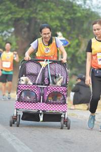 BIB: 
                            <button type="button" onclick="openModal(9580692)" class="btn btn-primary btn-sm float-right btn-popup" data-toggle="modal" data-target=".modal-high-quality">
                        <i class="fas fa-shopping-cart"></i> Add to Cart
                    </button>
                                            <button type="button" onclick="isThisMe(9580692, true)" class="btn btn-success btn-sm float-right btn-popup btn-isme hidden" data-toggle="tooltip" data-placement="bottom" title="นี่คือรูปของคุณใช่ไหม คลิกที่นี่เพื่อเอาเข้าอัลบั้ม">
                        <i class="fas fa-plus"></i> Add to album
                    </button>
                    <button type="button" onclick="isThisMe(9580692, false)" class="btn btn-warning btn-sm float-right btn-popup btn-isnotme hidden">
                        <i class="fas fa-ban"></i> Remove from album
                    </button>