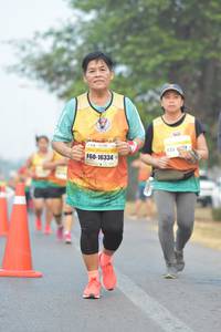 BIB: 16334
                            <button type="button" onclick="openModal(9550152)" class="btn btn-primary btn-sm float-right btn-popup" data-toggle="modal" data-target=".modal-high-quality">
                        <i class="fas fa-shopping-cart"></i> Add to Cart
                    </button>
                                            <button type="button" onclick="isThisMe(9550152, true)" class="btn btn-success btn-sm float-right btn-popup btn-isme hidden" data-toggle="tooltip" data-placement="bottom" title="นี่คือรูปของคุณใช่ไหม คลิกที่นี่เพื่อเอาเข้าอัลบั้ม">
                        <i class="fas fa-plus"></i> Add to album
                    </button>
                    <button type="button" onclick="isThisMe(9550152, false)" class="btn btn-warning btn-sm float-right btn-popup btn-isnotme hidden">
                        <i class="fas fa-ban"></i> Remove from album
                    </button>