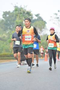 BIB: 5545148
                            <button type="button" onclick="openModal(10331682)" class="btn btn-primary btn-sm float-right btn-popup" data-toggle="modal" data-target=".modal-high-quality">
                        <i class="fas fa-shopping-cart"></i> Add to Cart
                    </button>
                                            <button type="button" onclick="isThisMe(10331682, true)" class="btn btn-success btn-sm float-right btn-popup btn-isme hidden" data-toggle="tooltip" data-placement="bottom" title="นี่คือรูปของคุณใช่ไหม คลิกที่นี่เพื่อเอาเข้าอัลบั้ม">
                        <i class="fas fa-plus"></i> Add to album
                    </button>
                    <button type="button" onclick="isThisMe(10331682, false)" class="btn btn-warning btn-sm float-right btn-popup btn-isnotme hidden">
                        <i class="fas fa-ban"></i> Remove from album
                    </button>