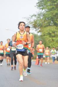 BIB: 40025
                            <button type="button" onclick="openModal(10361603)" class="btn btn-primary btn-sm float-right btn-popup" data-toggle="modal" data-target=".modal-high-quality">
                        <i class="fas fa-shopping-cart"></i> Add to Cart
                    </button>
                                            <button type="button" onclick="isThisMe(10361603, true)" class="btn btn-success btn-sm float-right btn-popup btn-isme hidden" data-toggle="tooltip" data-placement="bottom" title="นี่คือรูปของคุณใช่ไหม คลิกที่นี่เพื่อเอาเข้าอัลบั้ม">
                        <i class="fas fa-plus"></i> Add to album
                    </button>
                    <button type="button" onclick="isThisMe(10361603, false)" class="btn btn-warning btn-sm float-right btn-popup btn-isnotme hidden">
                        <i class="fas fa-ban"></i> Remove from album
                    </button>