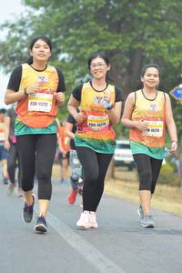 BIB: 15777, 1578, 15779
                            <button type="button" onclick="openModal(8760390)" class="btn btn-primary btn-sm float-right btn-popup" data-toggle="modal" data-target=".modal-high-quality">
                        <i class="fas fa-shopping-cart"></i> Add to Cart
                    </button>
                                            <button type="button" onclick="isThisMe(8760390, true)" class="btn btn-success btn-sm float-right btn-popup btn-isme hidden" data-toggle="tooltip" data-placement="bottom" title="นี่คือรูปของคุณใช่ไหม คลิกที่นี่เพื่อเอาเข้าอัลบั้ม">
                        <i class="fas fa-plus"></i> Add to album
                    </button>
                    <button type="button" onclick="isThisMe(8760390, false)" class="btn btn-warning btn-sm float-right btn-popup btn-isnotme hidden">
                        <i class="fas fa-ban"></i> Remove from album
                    </button>