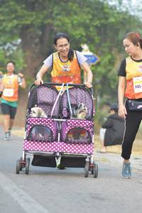 BIB: 
                            <button type="button" onclick="openModal(9580686)" class="btn btn-primary btn-sm float-right btn-popup" data-toggle="modal" data-target=".modal-high-quality">
                        <i class="fas fa-shopping-cart"></i> Add to Cart
                    </button>
                                            <button type="button" onclick="isThisMe(9580686, true)" class="btn btn-success btn-sm float-right btn-popup btn-isme hidden" data-toggle="tooltip" data-placement="bottom" title="นี่คือรูปของคุณใช่ไหม คลิกที่นี่เพื่อเอาเข้าอัลบั้ม">
                        <i class="fas fa-plus"></i> Add to album
                    </button>
                    <button type="button" onclick="isThisMe(9580686, false)" class="btn btn-warning btn-sm float-right btn-popup btn-isnotme hidden">
                        <i class="fas fa-ban"></i> Remove from album
                    </button>