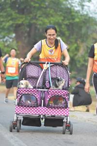 BIB: 
                            <button type="button" onclick="openModal(9580702)" class="btn btn-primary btn-sm float-right btn-popup" data-toggle="modal" data-target=".modal-high-quality">
                        <i class="fas fa-shopping-cart"></i> Add to Cart
                    </button>
                                            <button type="button" onclick="isThisMe(9580702, true)" class="btn btn-success btn-sm float-right btn-popup btn-isme hidden" data-toggle="tooltip" data-placement="bottom" title="นี่คือรูปของคุณใช่ไหม คลิกที่นี่เพื่อเอาเข้าอัลบั้ม">
                        <i class="fas fa-plus"></i> Add to album
                    </button>
                    <button type="button" onclick="isThisMe(9580702, false)" class="btn btn-warning btn-sm float-right btn-popup btn-isnotme hidden">
                        <i class="fas fa-ban"></i> Remove from album
                    </button>