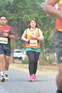 BIB: 
                            <button type="button" onclick="openModal(10329611)" class="btn btn-primary btn-sm float-right btn-popup" data-toggle="modal" data-target=".modal-high-quality">
                        <i class="fas fa-shopping-cart"></i> Add to Cart
                    </button>
                                            <button type="button" onclick="isThisMe(10329611, true)" class="btn btn-success btn-sm float-right btn-popup btn-isme hidden" data-toggle="tooltip" data-placement="bottom" title="นี่คือรูปของคุณใช่ไหม คลิกที่นี่เพื่อเอาเข้าอัลบั้ม">
                        <i class="fas fa-plus"></i> Add to album
                    </button>
                    <button type="button" onclick="isThisMe(10329611, false)" class="btn btn-warning btn-sm float-right btn-popup btn-isnotme hidden">
                        <i class="fas fa-ban"></i> Remove from album
                    </button>