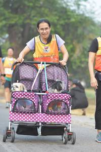 BIB: 
                            <button type="button" onclick="openModal(9580708)" class="btn btn-primary btn-sm float-right btn-popup" data-toggle="modal" data-target=".modal-high-quality">
                        <i class="fas fa-shopping-cart"></i> Add to Cart
                    </button>
                                            <button type="button" onclick="isThisMe(9580708, true)" class="btn btn-success btn-sm float-right btn-popup btn-isme hidden" data-toggle="tooltip" data-placement="bottom" title="นี่คือรูปของคุณใช่ไหม คลิกที่นี่เพื่อเอาเข้าอัลบั้ม">
                        <i class="fas fa-plus"></i> Add to album
                    </button>
                    <button type="button" onclick="isThisMe(9580708, false)" class="btn btn-warning btn-sm float-right btn-popup btn-isnotme hidden">
                        <i class="fas fa-ban"></i> Remove from album
                    </button>