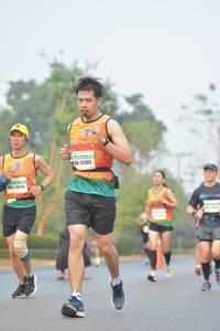 BIB: 41558
                            <button type="button" onclick="openModal(10334009)" class="btn btn-primary btn-sm float-right btn-popup" data-toggle="modal" data-target=".modal-high-quality">
                        <i class="fas fa-shopping-cart"></i> Add to Cart
                    </button>
                                            <button type="button" onclick="isThisMe(10334009, true)" class="btn btn-success btn-sm float-right btn-popup btn-isme hidden" data-toggle="tooltip" data-placement="bottom" title="นี่คือรูปของคุณใช่ไหม คลิกที่นี่เพื่อเอาเข้าอัลบั้ม">
                        <i class="fas fa-plus"></i> Add to album
                    </button>
                    <button type="button" onclick="isThisMe(10334009, false)" class="btn btn-warning btn-sm float-right btn-popup btn-isnotme hidden">
                        <i class="fas fa-ban"></i> Remove from album
                    </button>