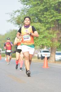 BIB: 21862
                            <button type="button" onclick="openModal(8223063)" class="btn btn-primary btn-sm float-right btn-popup" data-toggle="modal" data-target=".modal-high-quality">
                        <i class="fas fa-shopping-cart"></i> Add to Cart
                    </button>
                                            <button type="button" onclick="isThisMe(8223063, true)" class="btn btn-success btn-sm float-right btn-popup btn-isme hidden" data-toggle="tooltip" data-placement="bottom" title="นี่คือรูปของคุณใช่ไหม คลิกที่นี่เพื่อเอาเข้าอัลบั้ม">
                        <i class="fas fa-plus"></i> Add to album
                    </button>
                    <button type="button" onclick="isThisMe(8223063, false)" class="btn btn-warning btn-sm float-right btn-popup btn-isnotme hidden">
                        <i class="fas fa-ban"></i> Remove from album
                    </button>