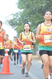 BIB: 15617, 10508
                            <button type="button" onclick="openModal(7477994)" class="btn btn-primary btn-sm float-right btn-popup" data-toggle="modal" data-target=".modal-high-quality">
                        <i class="fas fa-shopping-cart"></i> Add to Cart
                    </button>
                                            <button type="button" onclick="isThisMe(7477994, true)" class="btn btn-success btn-sm float-right btn-popup btn-isme hidden" data-toggle="tooltip" data-placement="bottom" title="นี่คือรูปของคุณใช่ไหม คลิกที่นี่เพื่อเอาเข้าอัลบั้ม">
                        <i class="fas fa-plus"></i> Add to album
                    </button>
                    <button type="button" onclick="isThisMe(7477994, false)" class="btn btn-warning btn-sm float-right btn-popup btn-isnotme hidden">
                        <i class="fas fa-ban"></i> Remove from album
                    </button>
